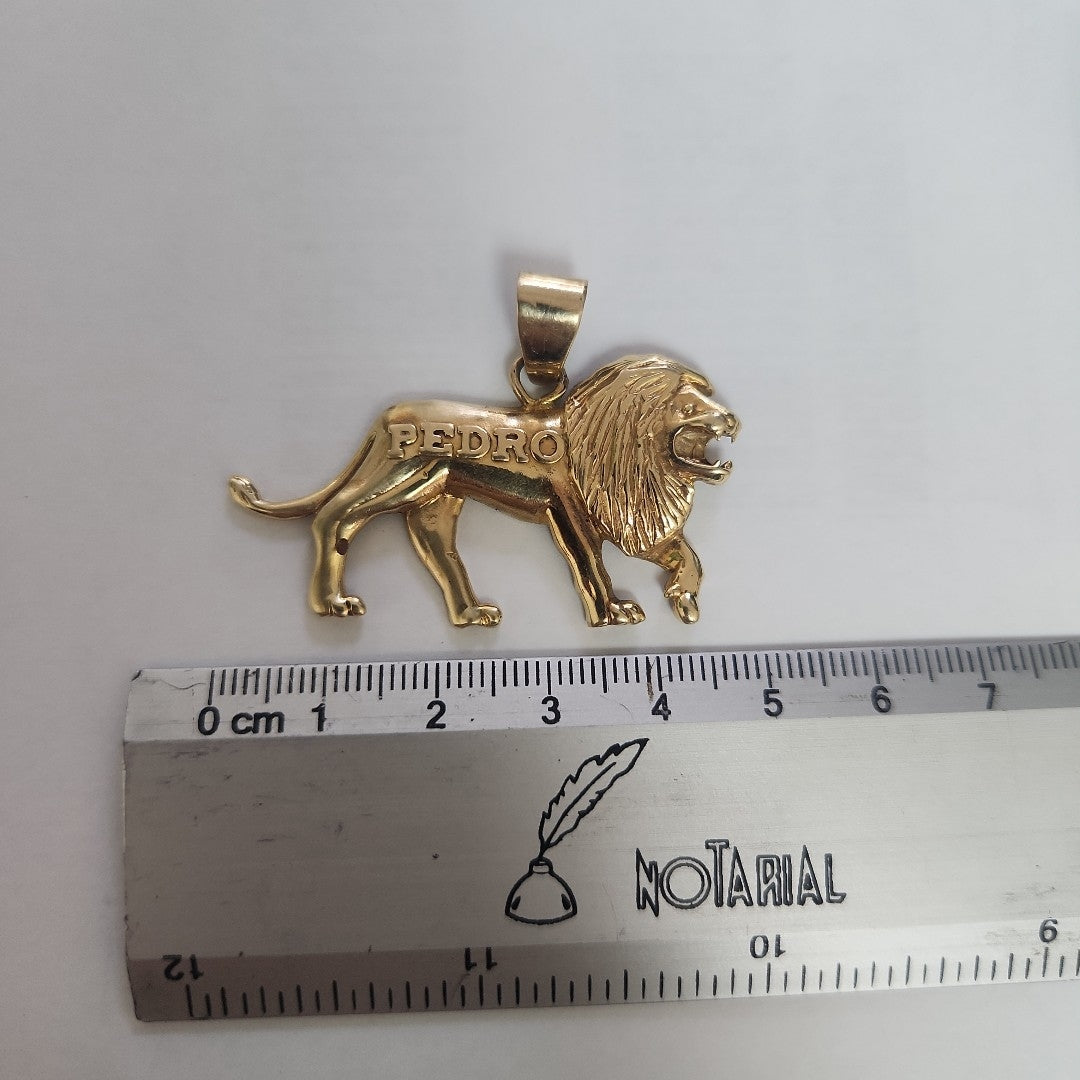 DIJE ORO 14 K 9.3 GRMS (SEMINUEVO)
