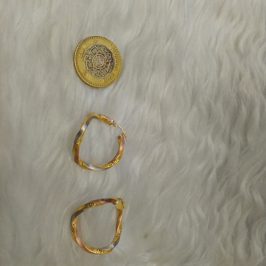 ARRACADAS PAR ORO 10 K 3 GRMS (SEMINUEVO)