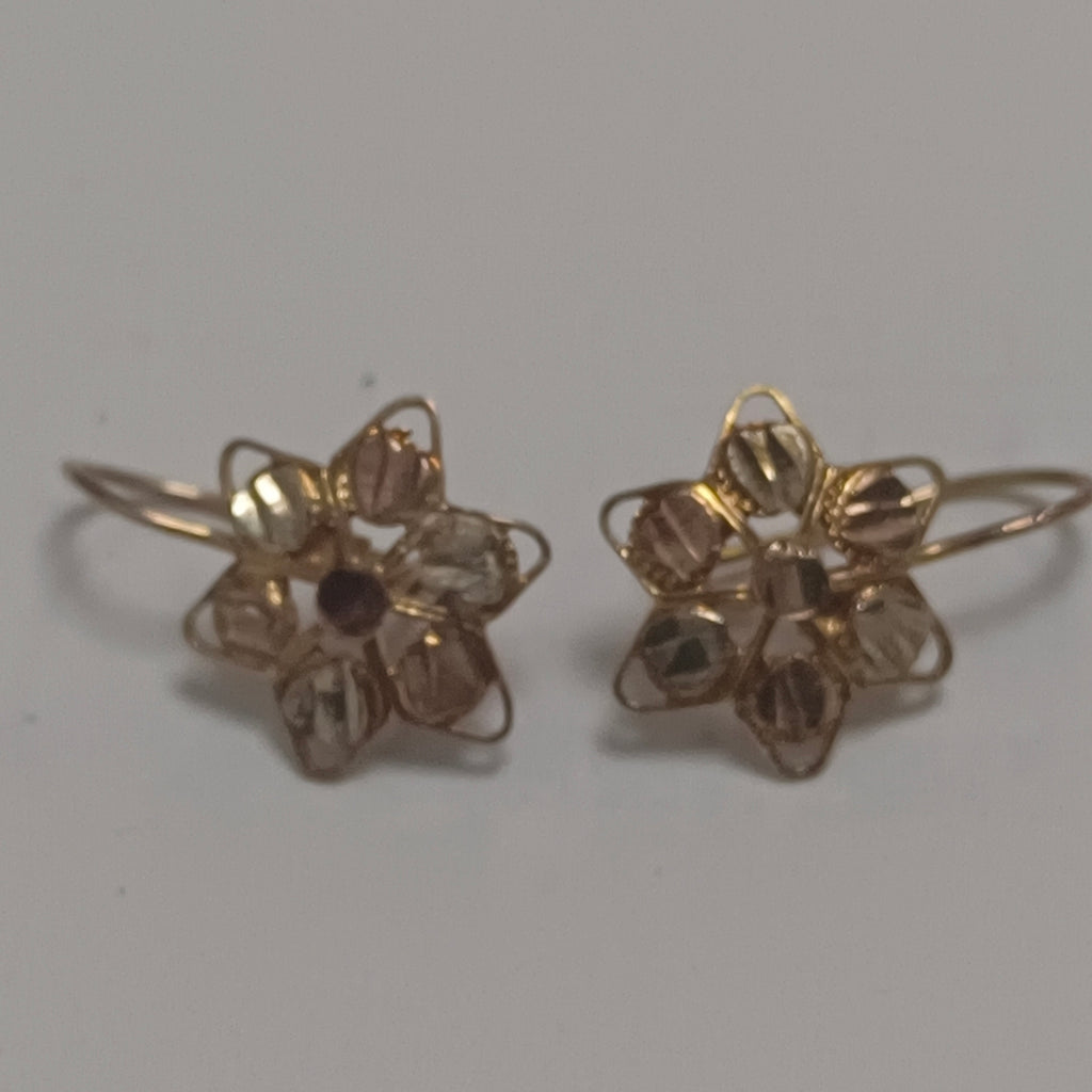 ARETES PAR ORO 10 K 1.5 GRMS (SEMINUEVO)