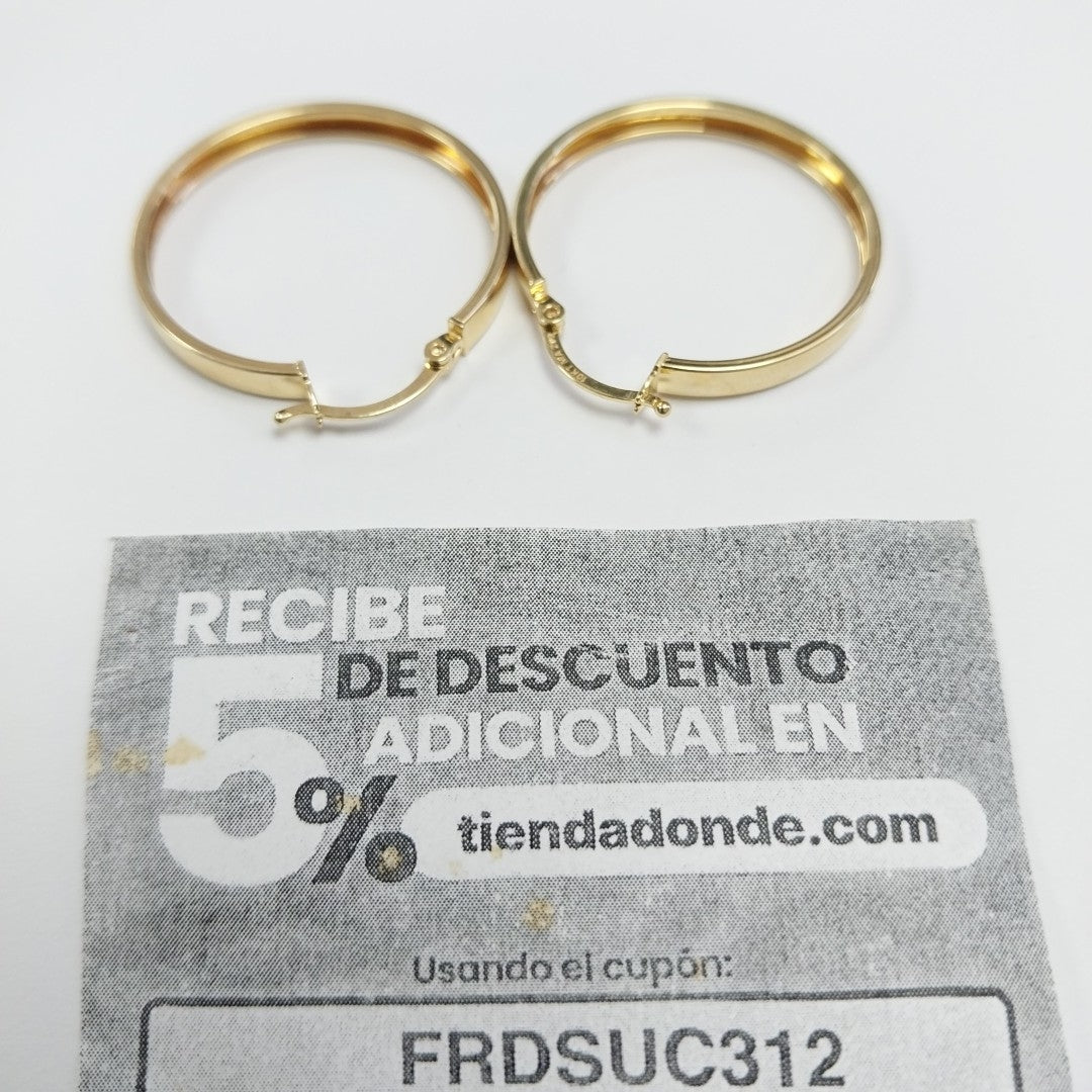 ARRACADAS ORO 10K 2 (NUEVO)