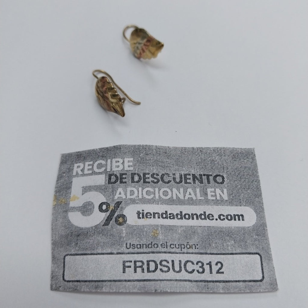 ARETES PAR ORO 10 K 1.4 GRMS (SEMINUEVO)