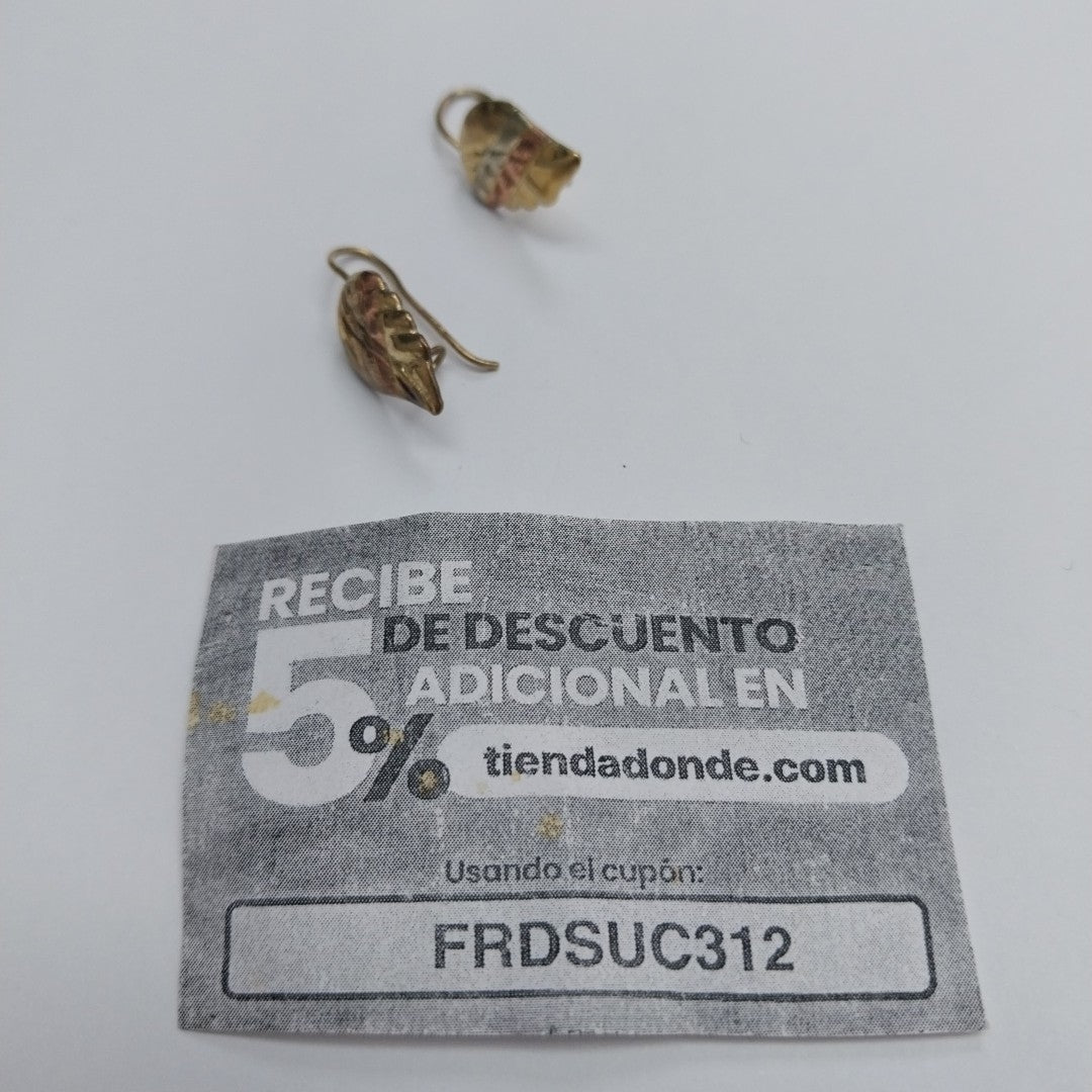 ARETES PAR ORO 10 K 1.4 GRMS (SEMINUEVO)