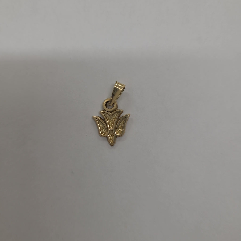 DIJE ORO 10 K 0.8 GRMS (SEMINUEVO)
