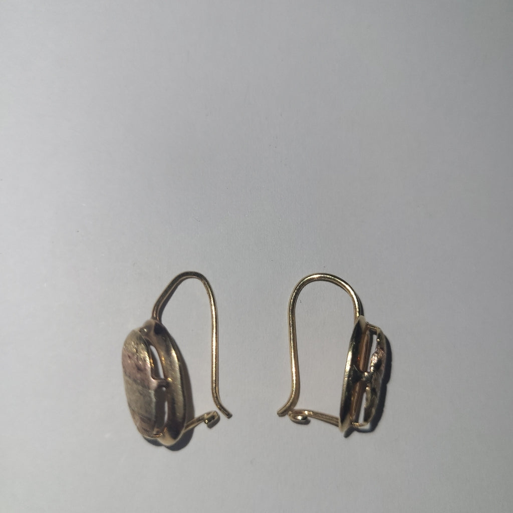 ARETES PAR ORO 10 K 1,70 GRMS (SEMINUEVO)