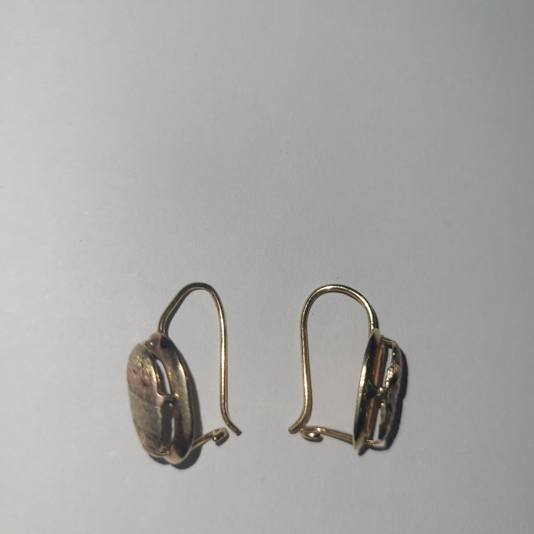 ARETES PAR ORO 10 K 1,70 GRMS (SEMINUEVO)