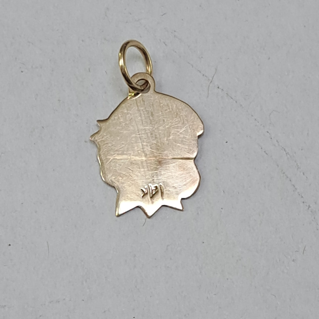 DIJE ORO 14 K 0.6 GRMS (SEMINUEVO)