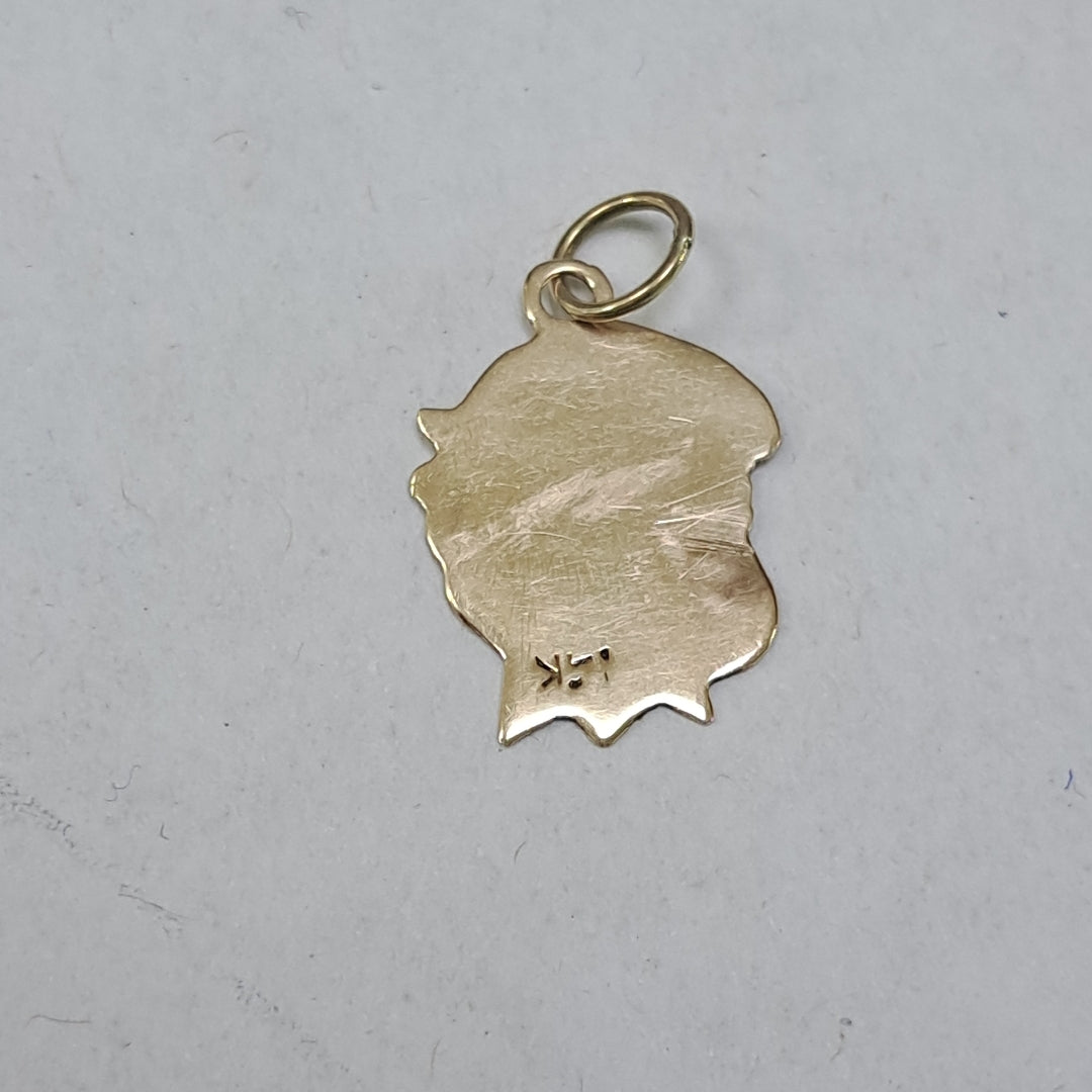 DIJE ORO 14 K 0.4 GRMS (SEMINUEVO)