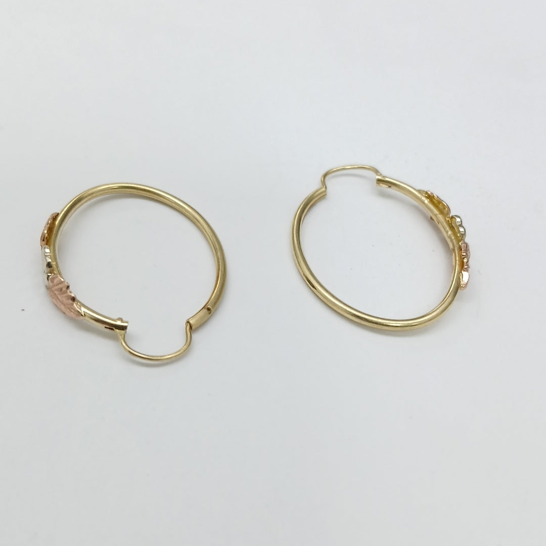 ARRACADAS PAR ORO 14 K 2,20 GRMS (SEMINUEVO)