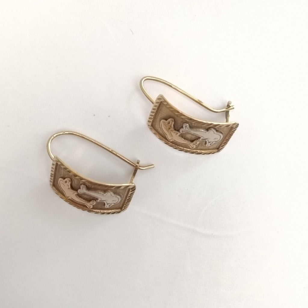 ARETES PAR ORO 10 K 2.1 GRMS (SEMINUEVO)
