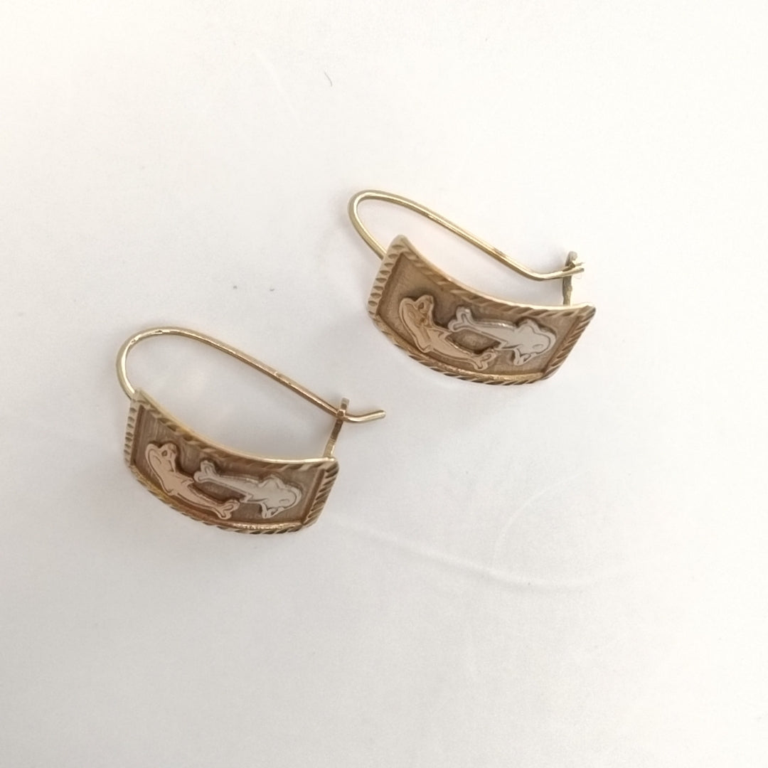 ARETES PAR ORO 10 K 2.1 GRMS (SEMINUEVO)