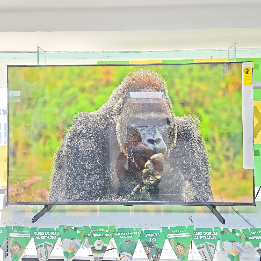 PANTALLA HISENSE 55QD6QV (2025) 55" QLED 4K