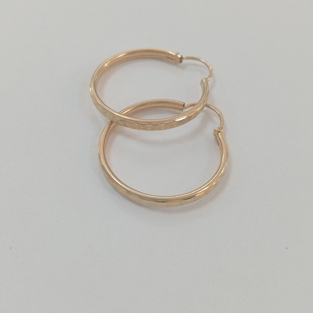 ARRACADAS PAR ORO 10 K 2.2 GRMS (SEMINUEVO)