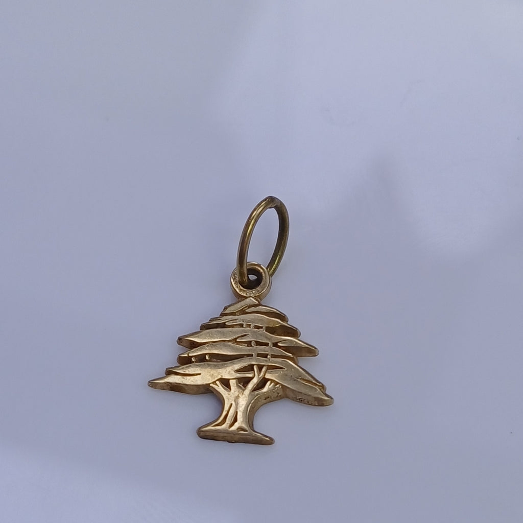 DIJE ORO 14 K 1.3 GRMS (SEMINUEVO)