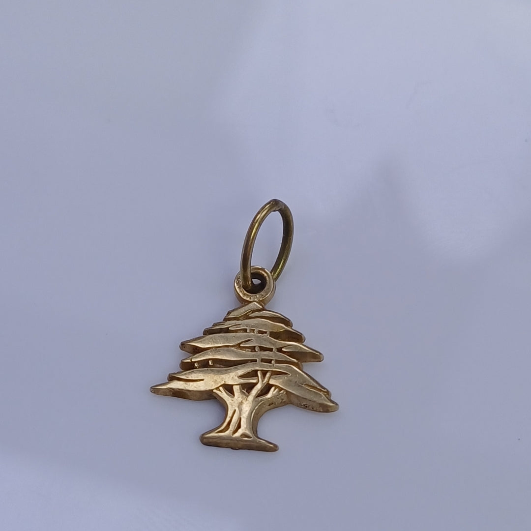 DIJE ORO 14 K 1.3 GRMS (SEMINUEVO)