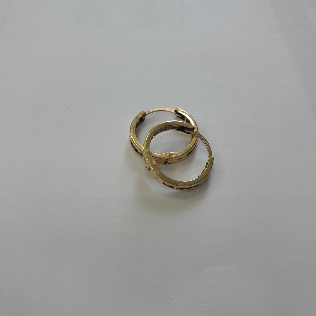 ARETES PAR ORO 10 K 2.1 GRMS (SEMINUEVO)