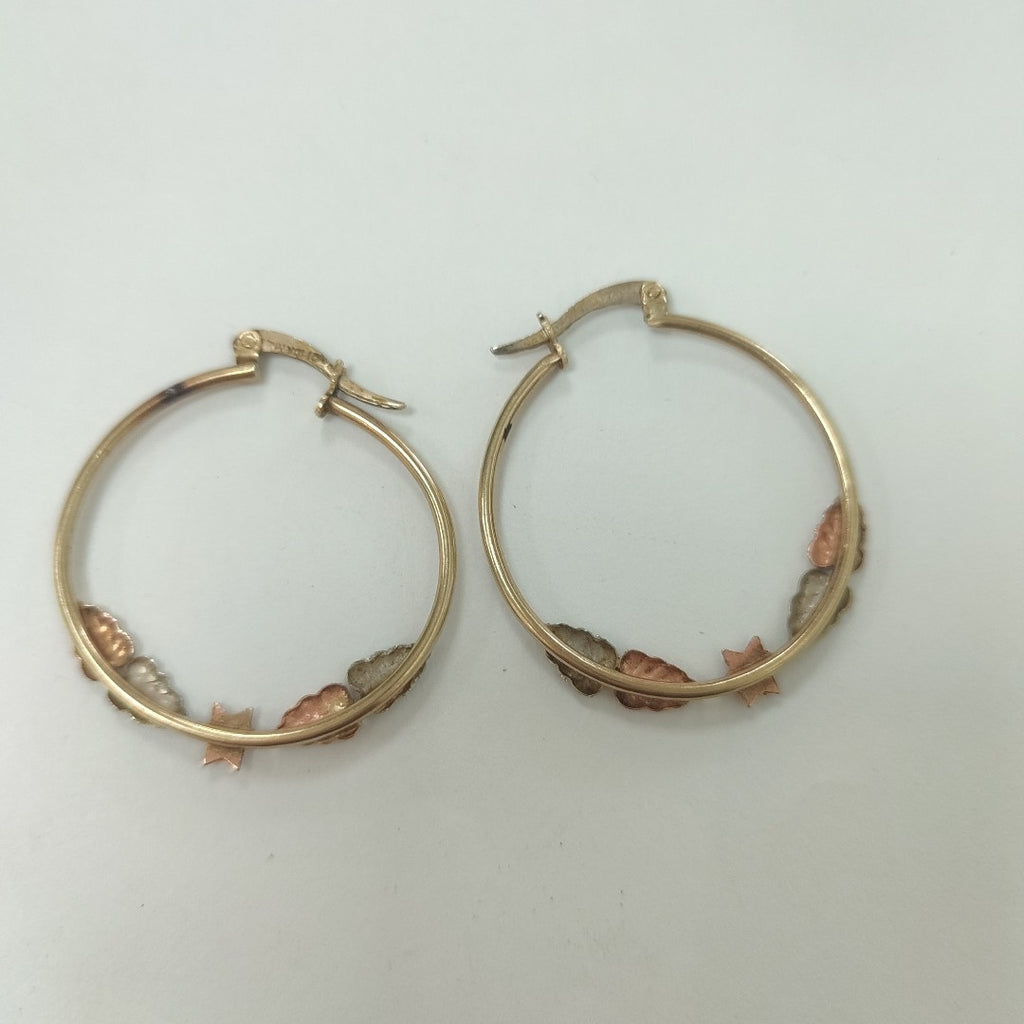 ARRACADAS PAR ORO 10 K 3.7 GRMS (SEMINUEVO)