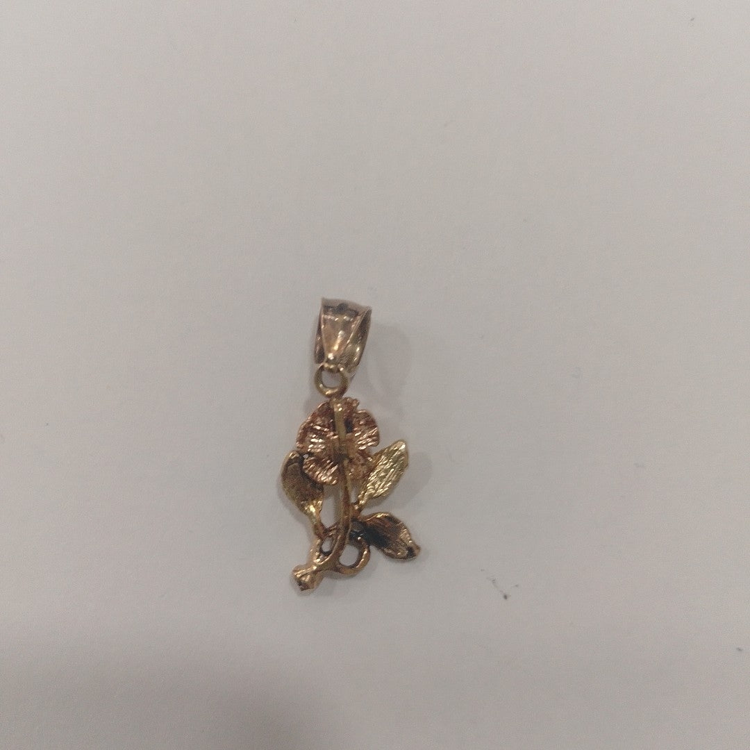 DIJE ORO 14 K 1.9 GRMS (SEMINUEVO)