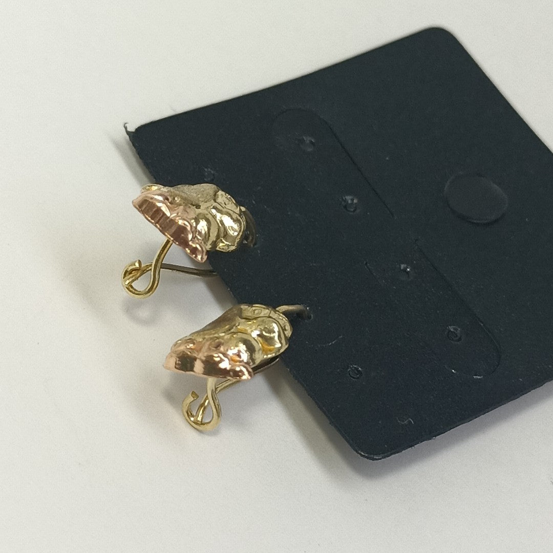 ARRACADAS PAR ORO 10 K 1.3 GRMS (SEMINUEVO)