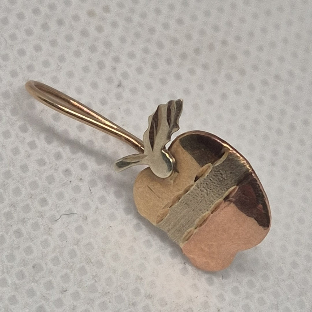ARETES PAR ORO COMBINADO 10 K 1 GRMS (SEMINUEVO)