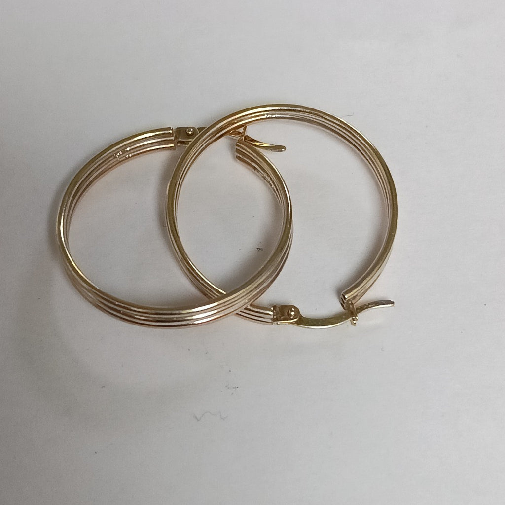 ARRACADAS PAR ORO 10 K 2.7 GRMS (SEMINUEVO)