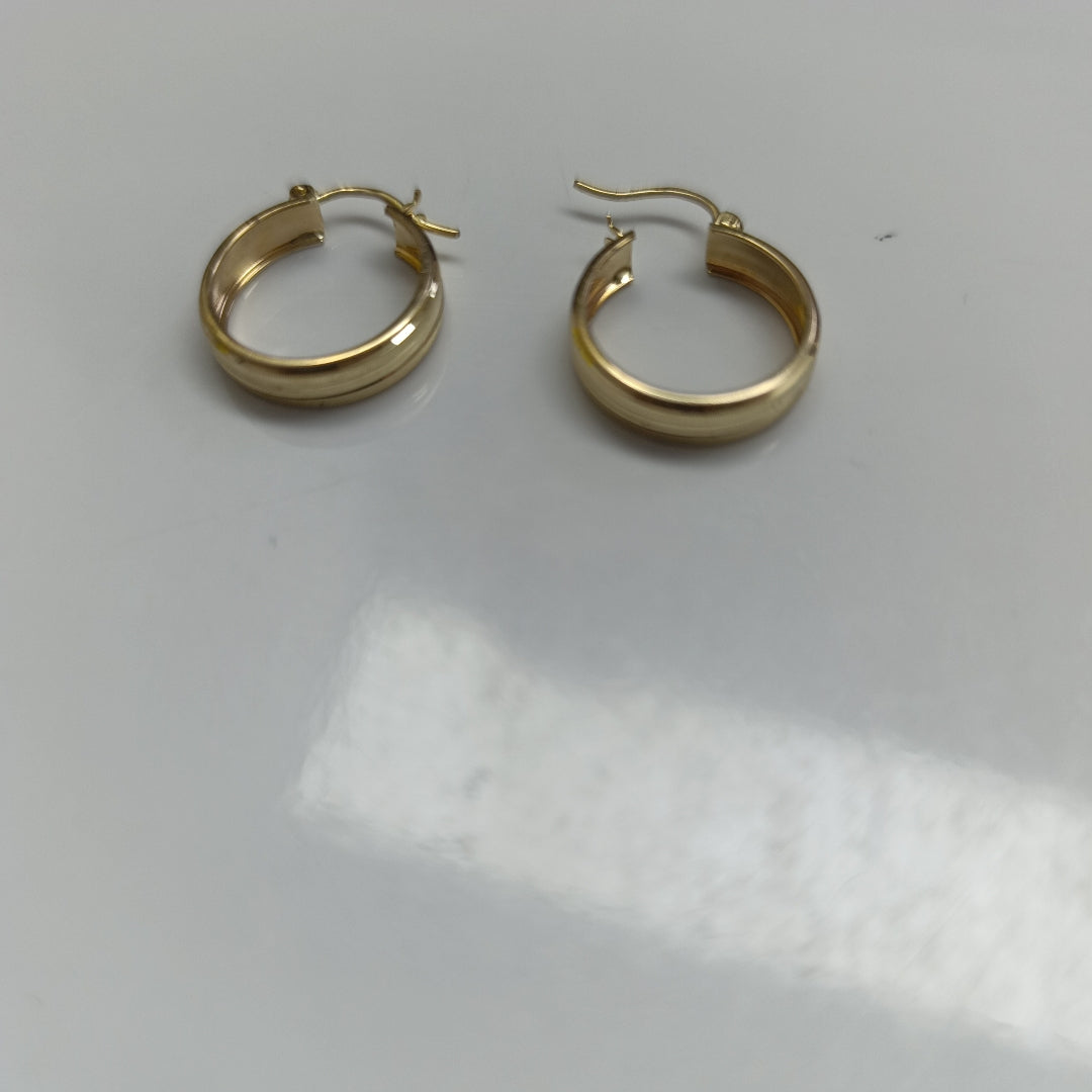 ARETES ARRACADAS ORO 10K 1.9 GR (NUEVO)