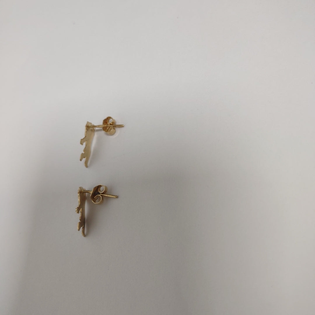 ARETES PAR ORO 14 K 1.9 GRMS (SEMINUEVO)