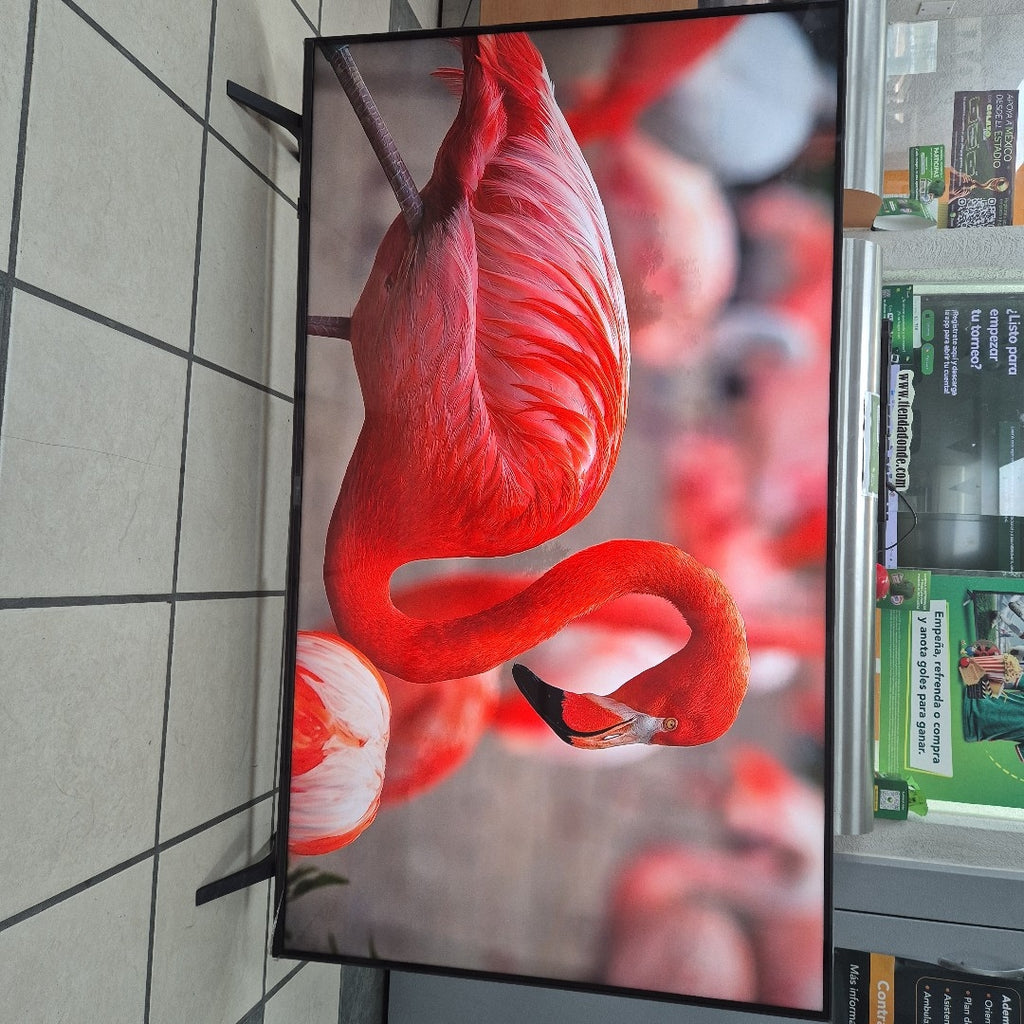 PANTALLA LG 65UA7500PSA (2025) 65" LED 4K (SEMINUEVO)