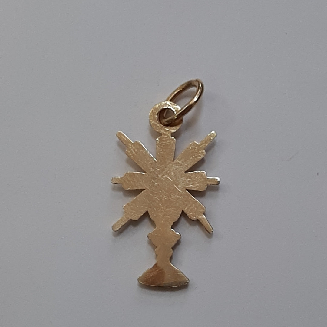 DIJE ORO 14 K 2 GRMS (SEMINUEVO)