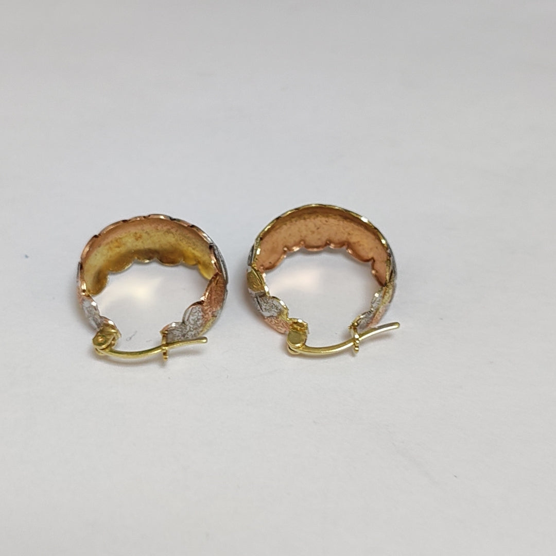 ARRACADAS PAR ORO COMBINADO 14 K 3 GRMS (SEMINUEVO)