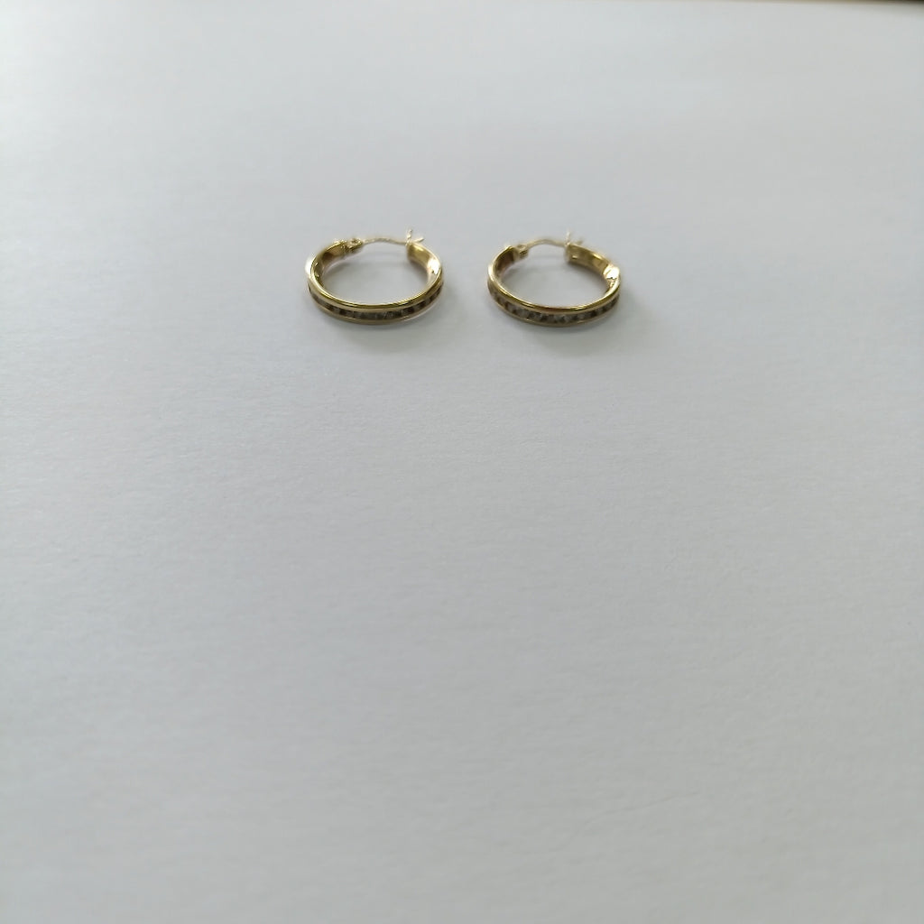 ARRACADAS PAR ORO 10 K 2.2 GRMS (SEMINUEVO)