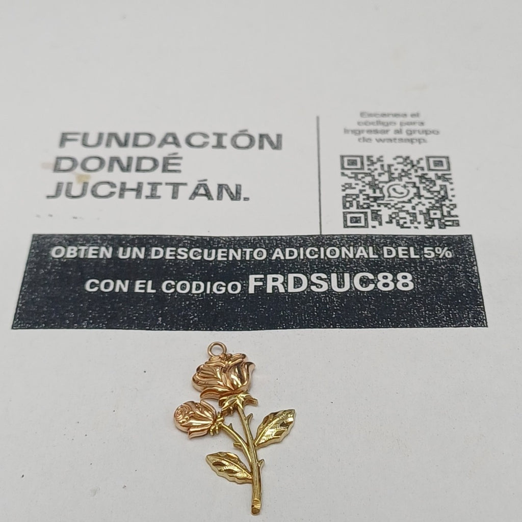 DIJE ORO 10 K 1.1 GRMS (SEMINUEVO)
