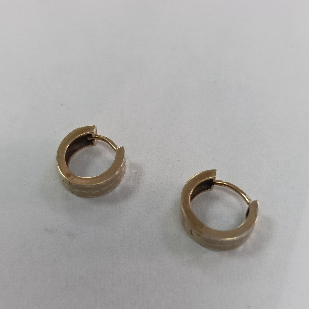 ARETES PAR ORO 10 K 2.9 GRMS (SEMINUEVO)