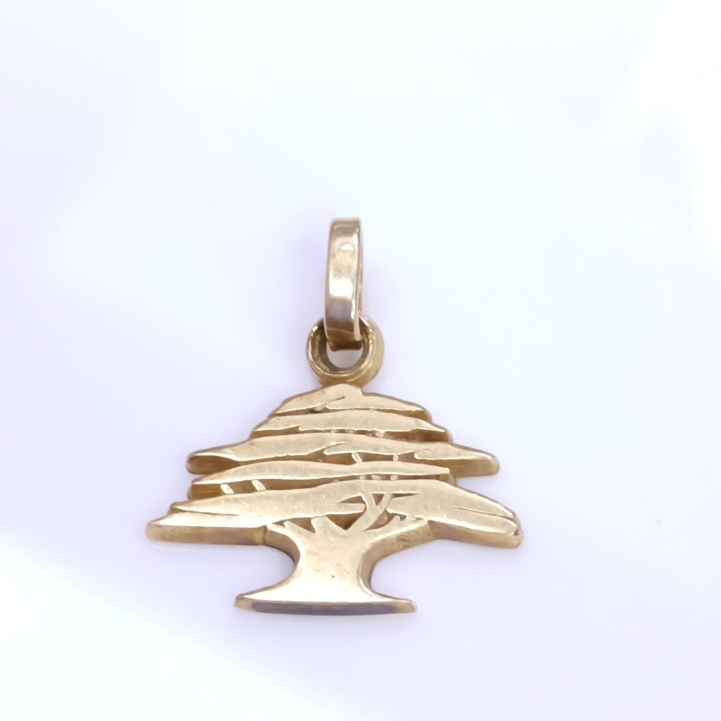 DIJE ORO 14 K 2.1 GRMS (SEMINUEVO)