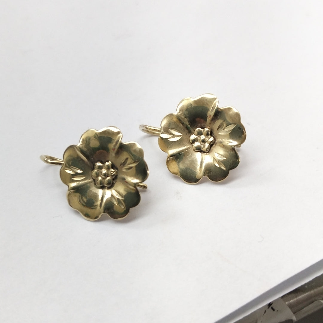 ARETES PAR ORO 10 K 1.8 GRMS (SEMINUEVO)