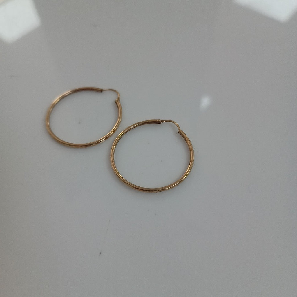 ARRACADAS PAR ORO 10 K 2 GRMS (SEMINUEVO)