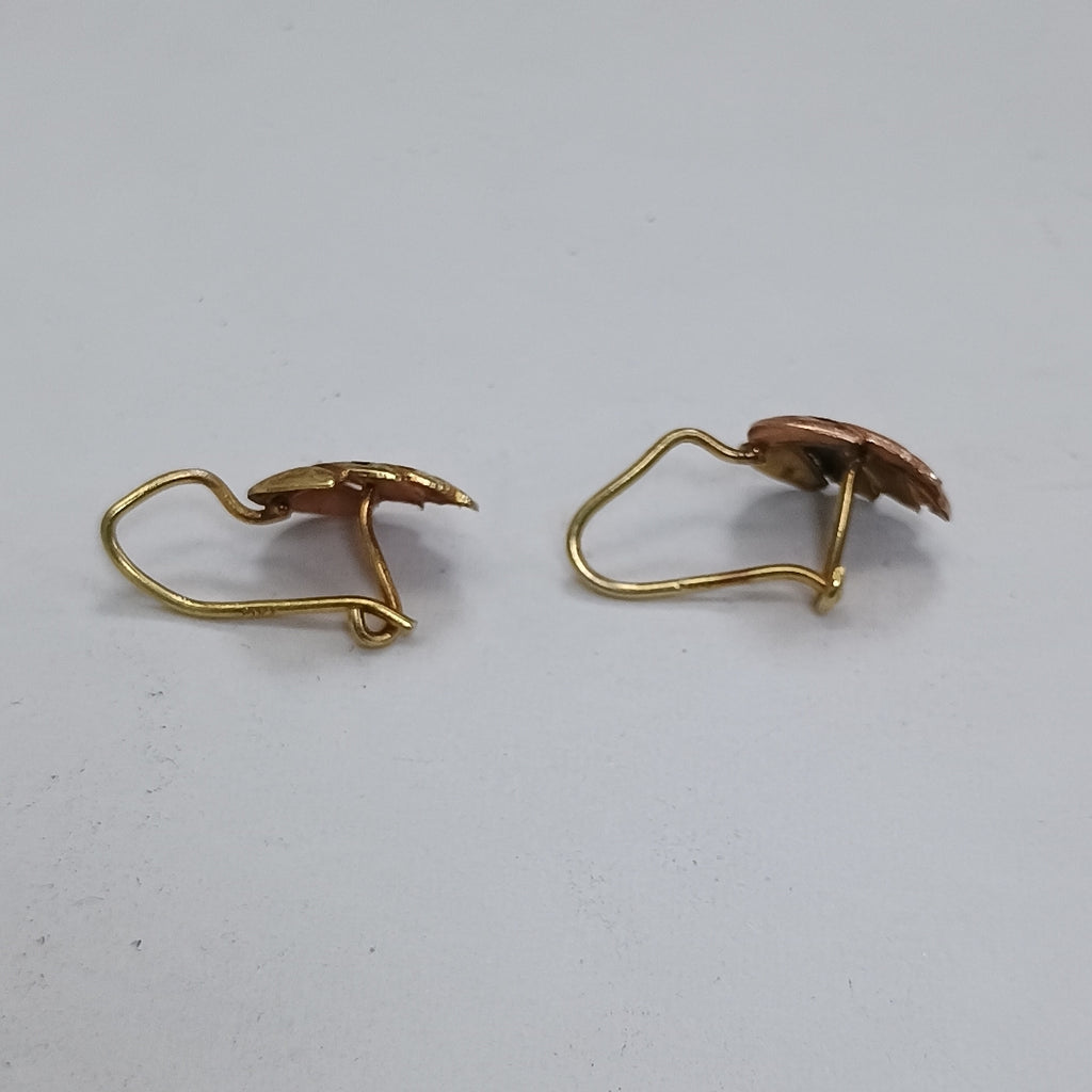 ARETES PAR ORO 10 K 0.9 GRMS (SEMINUEVO)
