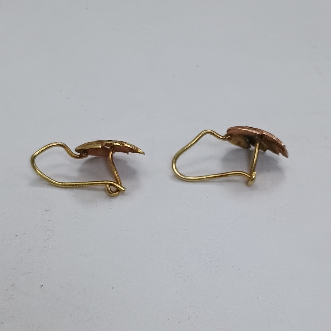 ARETES PAR ORO 10 K 0.9 GRMS (SEMINUEVO)