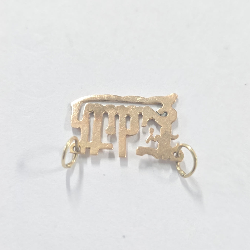 DIJE ORO 14 K 0.6 GRMS (SEMINUEVO)