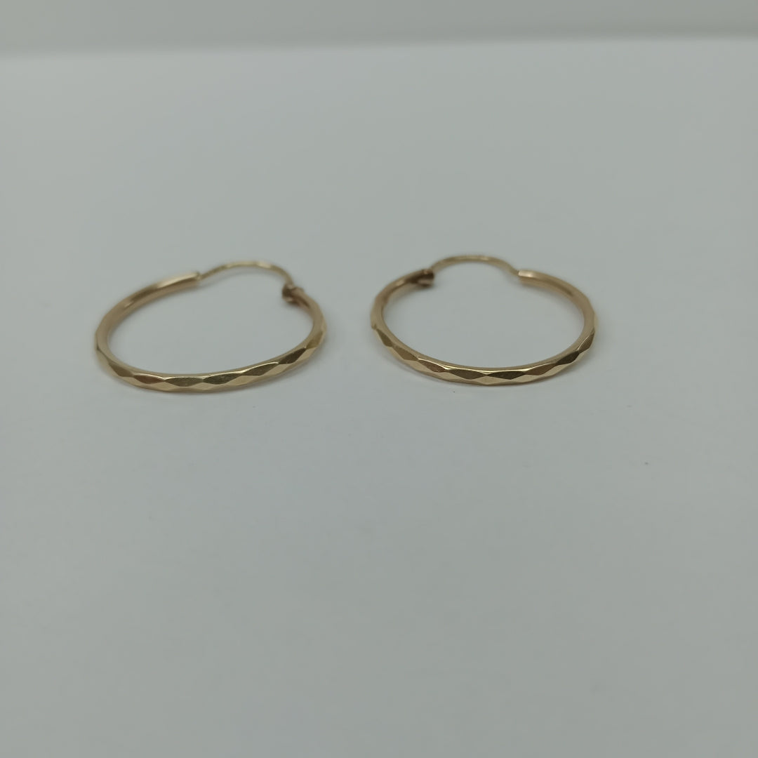 ARRACADAS PAR ORO 10 K 1,40 GRMS (SEMINUEVO)