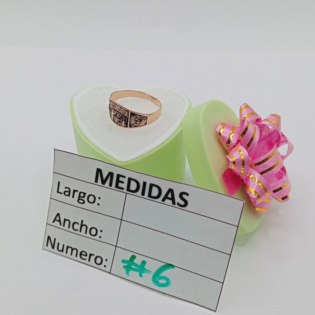 ANILLO DE GRADUACIÓN ORO 10 K 1,10 GRMS (SEMINUEVO)