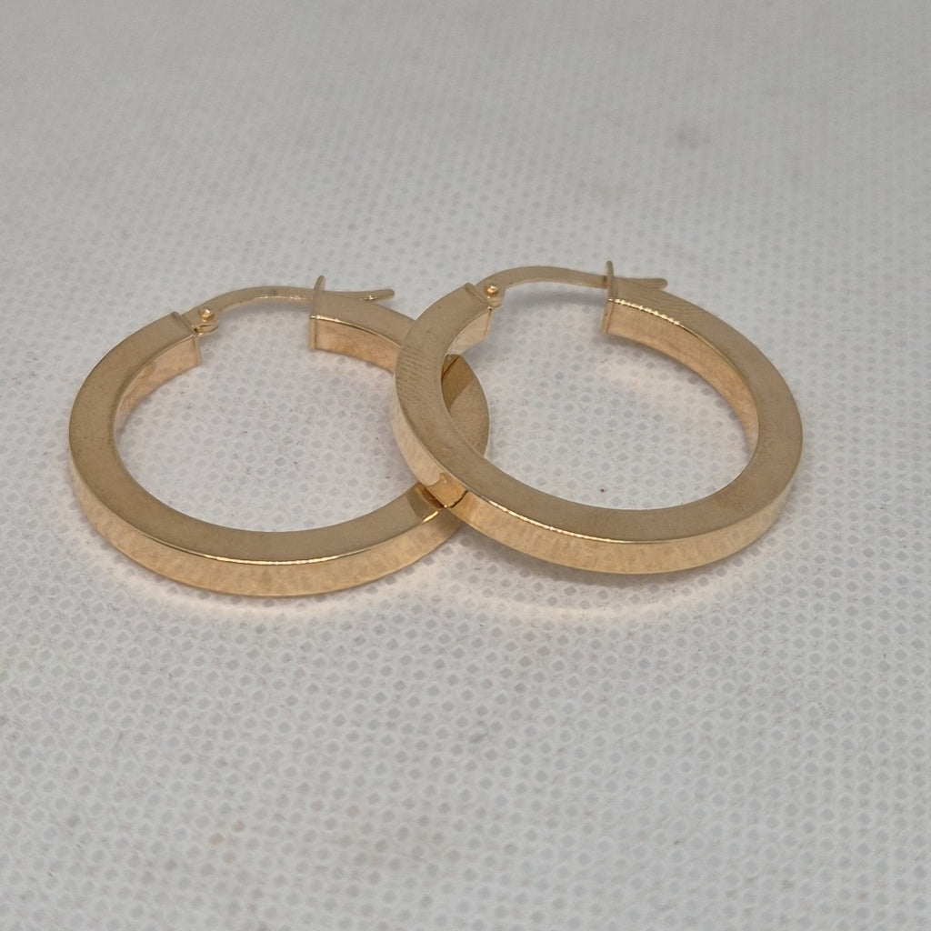 ARRACADAS PAR ORO 10 K 2,30 GRMS (SEMINUEVO)