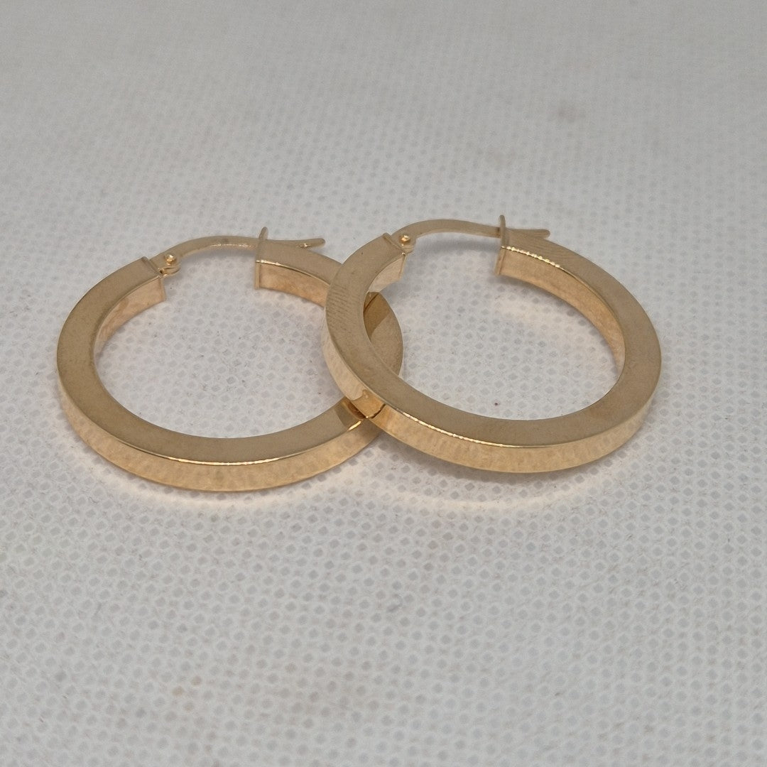 ARRACADAS PAR ORO 10 K 2,30 GRMS (SEMINUEVO)