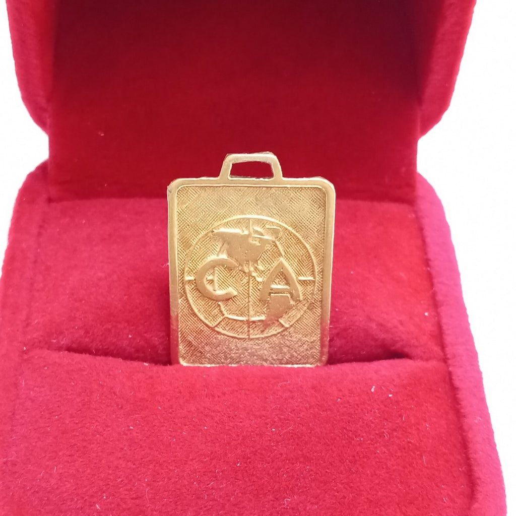 DIJE ORO 10 K 2.2 GRMS (SEMINUEVO)