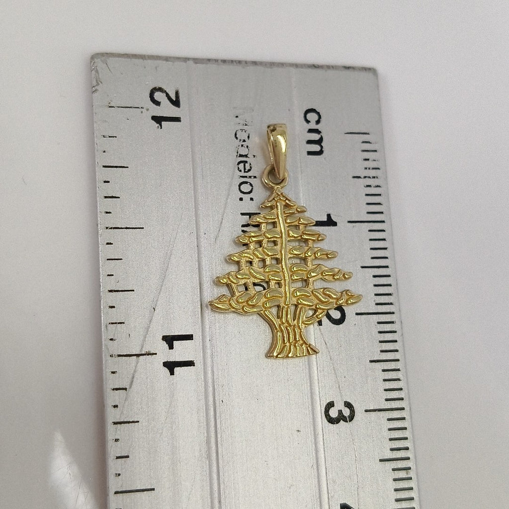 DIJE ORO 14 K 1.6 GRMS (SEMINUEVO)