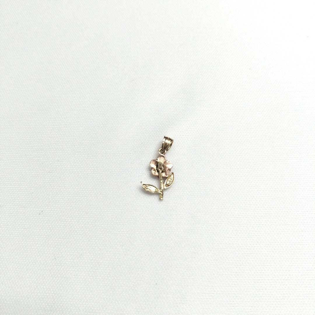 DIJE ORO COMBINADO 14 K 0,70 GRMS (SEMINUEVO)