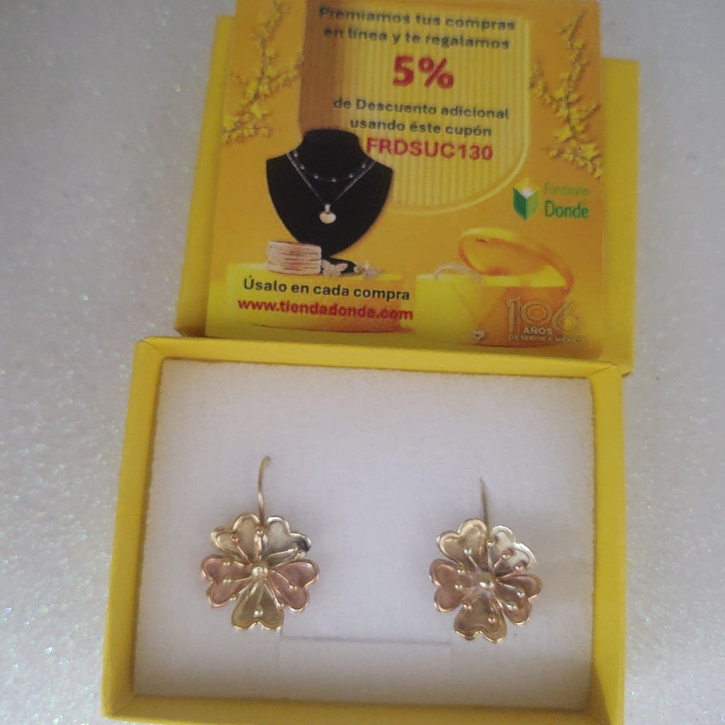 ARETES PAR ORO 14 K 4.4 GRMS (SEMINUEVO)