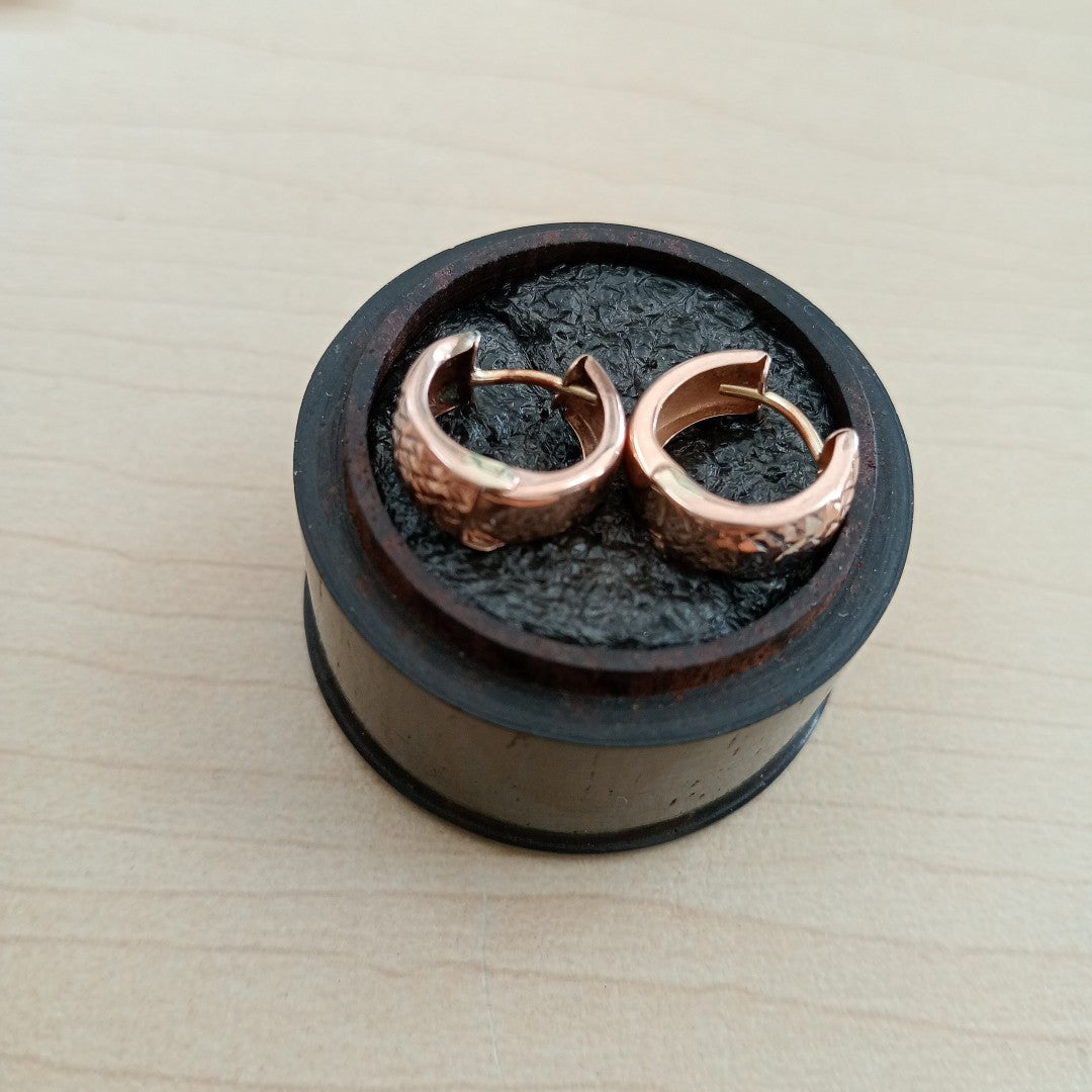ARRACADAS PAR ORO 10 K 1.2 GRMS (SEMINUEVO)