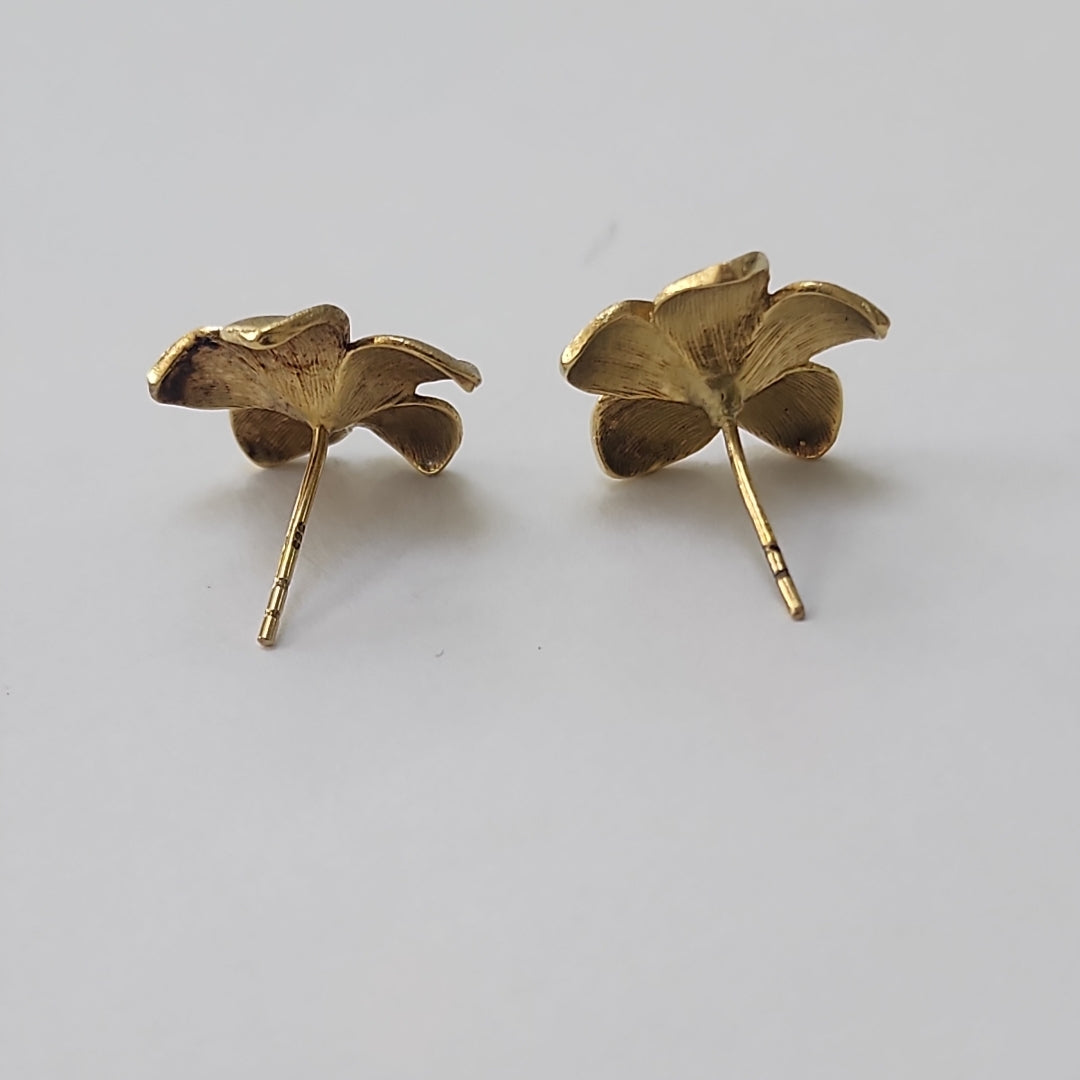 BROQUELES PAR ORO 14 K 3.1 GRMS (SEMINUEVO)
