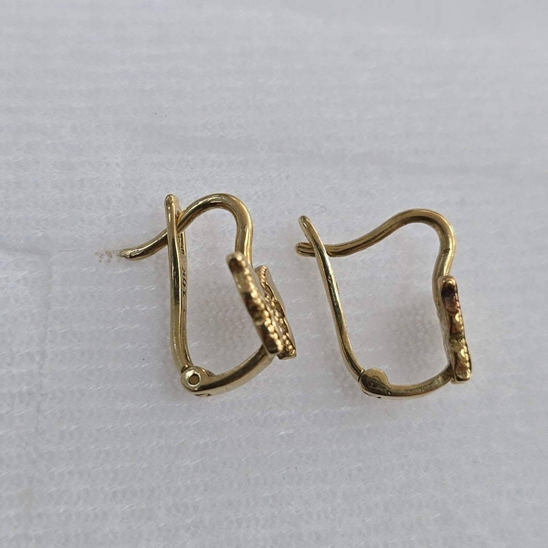 ARETES PAR ORO 10 K 1.4 GRMS (SEMINUEVO)