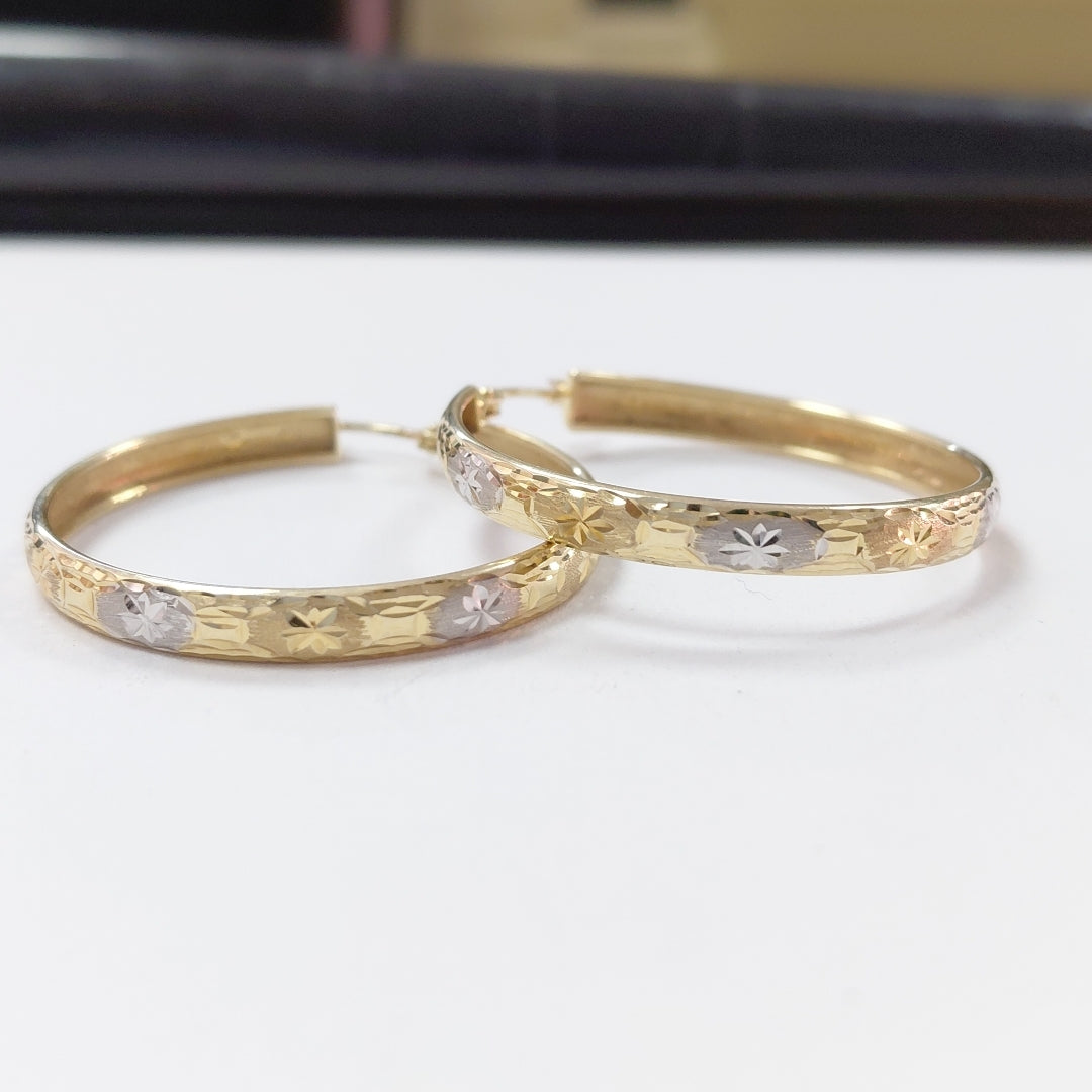 ARRACADAS PAR ORO, ORO COMBINADO 14 K 3.4 GRMS (SEMINUEVO)